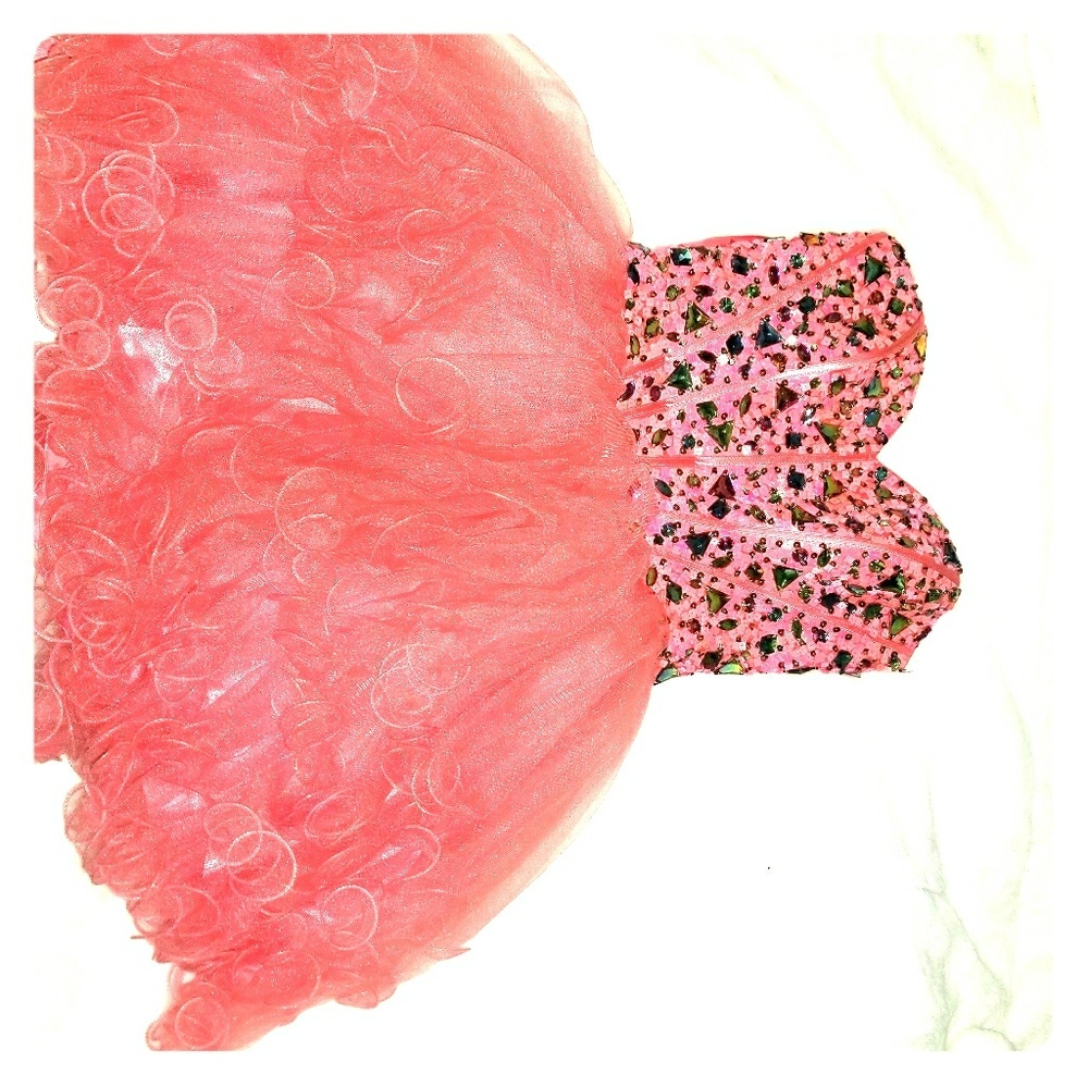 Prom/quince dress
